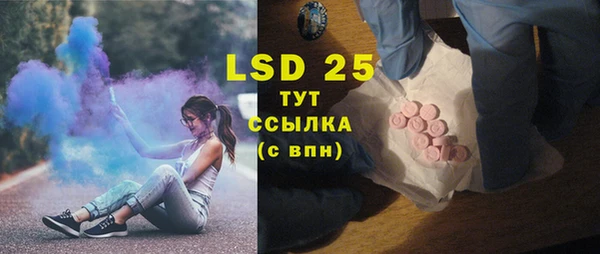 прущие грибы Михайловка