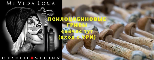 спайс Армянск