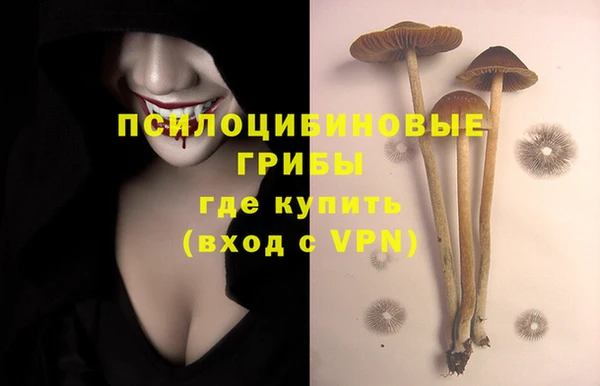 кристаллы Алзамай